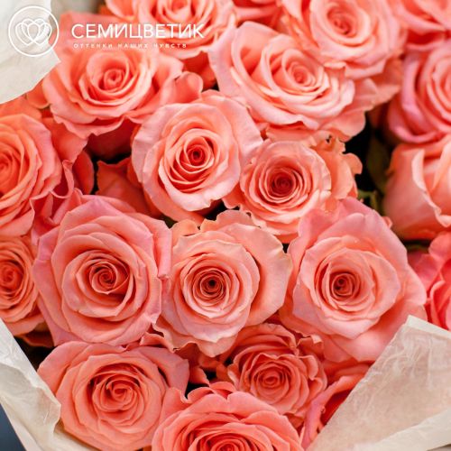 Букет из 25 розовых роз (Эквадор) 50 см Amsterdam