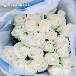 25 белых роз (Россия) 40 см