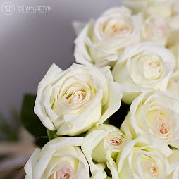 Букет из 101 белой одноголовой пионовидной розы 40 см White O'Hara