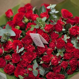 25 кустовых пионовидных роз Bella Lindo Brick