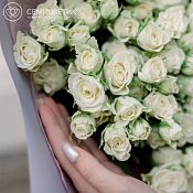Букет из 25 белых кустовых роз Snowflake 40 см (Кения)