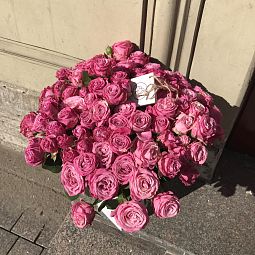 25 кустовых пионовидных роз Lady Bombastik 50 см