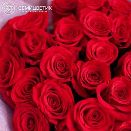 Букет из 25 красных роз (Эквадор) 50 см Freedom