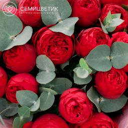 Букет из 19 красных одноголовых пионовидных роз Red Piano с эвкалиптом