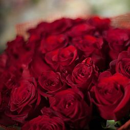 Букет из 25 красных роз (Эквадор) 70 см Freedom