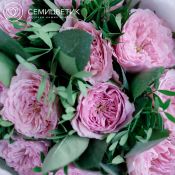 Букет из 11 розовых пионовидных роз 40 см Mayra's Pink с фисташкой