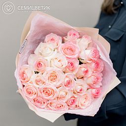 25 белых с розовой каймой роз (Россия) 40 см Джамиля