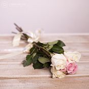 5 розовых и белых роз (Эквадор) 50 см