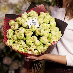 25 кустовых пионовидных роз Blanchette (бело-фисташковые) 40 см