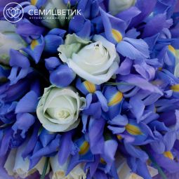 Букет из 10 белых роз (Кения) Standart и 15 синих ирисов