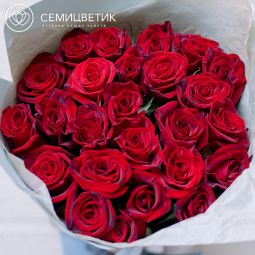Букет из 25 красных с темной каймой роз (Россия) 70 см