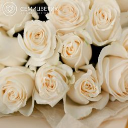25 белых роз (Эквадор) 60 см Vendela