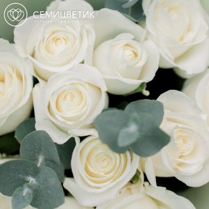 Букет из 11 белых роз (Эквадор) 50 см Tibet с эвкалиптом