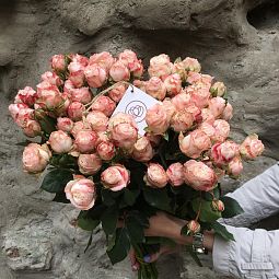 25 кустовых пионовидных роз Bombastik 50 см